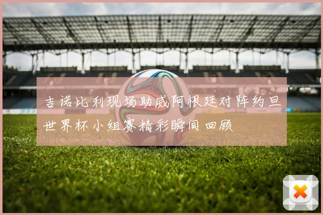 吉诺比利现场助威阿根廷对阵约旦世界杯小组赛精彩瞬间回顾